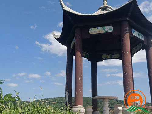 黔陽瞐黔陽黃(huáng)桃産業(yè)園5
