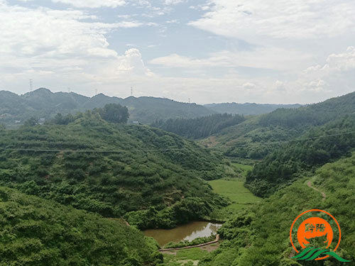 黔陽瞐黔陽黃(huáng)桃産業(yè)園10
